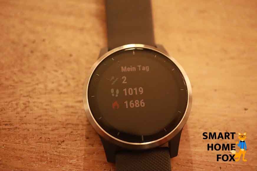 Умные часы Garmin vivoactive 4.